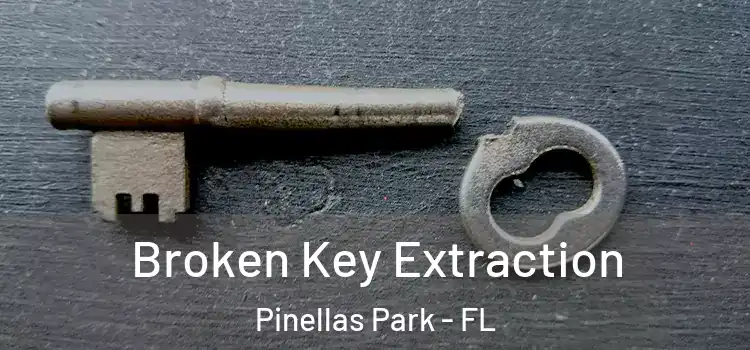 Broken Key Extraction Pinellas Park - FL