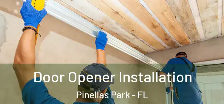 Door Opener Installation Pinellas Park - FL