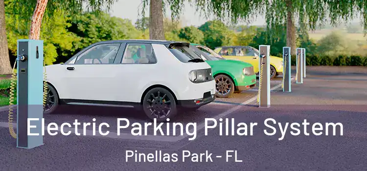  Electric Parking Pillar System Pinellas Park - FL