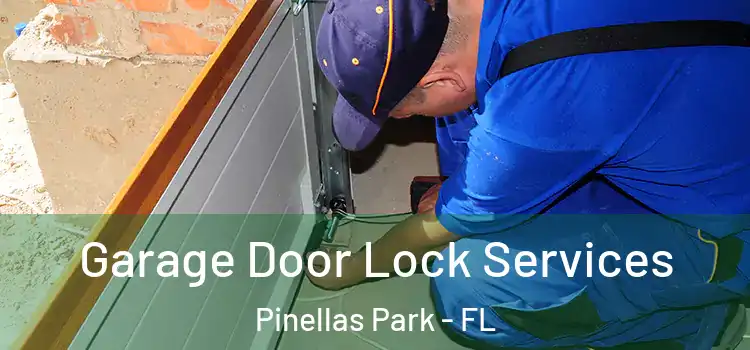 Garage Door Lock Services Pinellas Park - FL