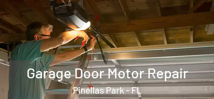  Garage Door Motor Repair Pinellas Park - FL