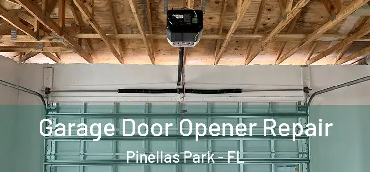  Garage Door Opener Repair Pinellas Park - FL