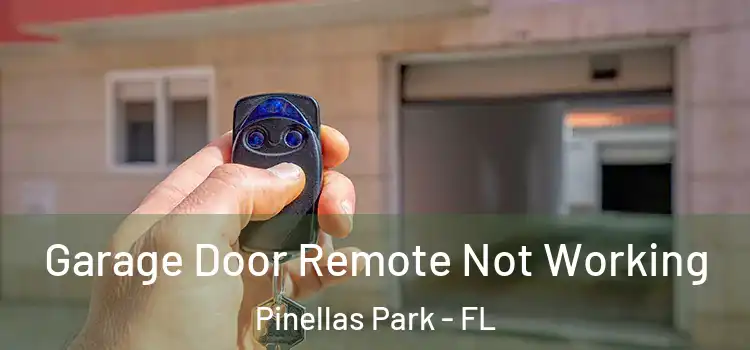  Garage Door Remote Not Working Pinellas Park - FL