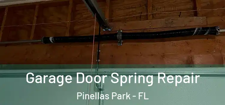  Garage Door Spring Repair Pinellas Park - FL