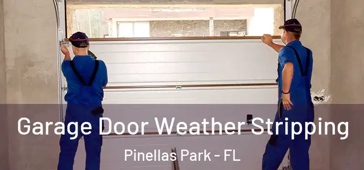  Garage Door Weather Stripping Pinellas Park - FL