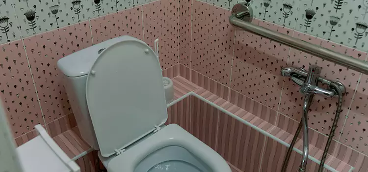 Meeting Diverse Needs With Accessible Restroom Solutions in Pinellas Park, FL