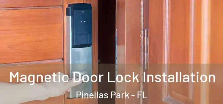  Magnetic Door Lock Installation Pinellas Park - FL