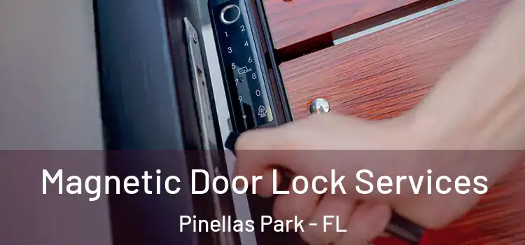 Magnetic Door Lock Services Pinellas Park - FL