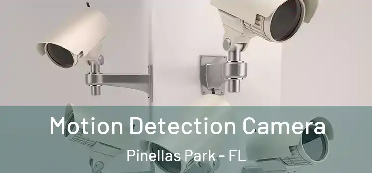 Motion Detection Camera Pinellas Park - FL
